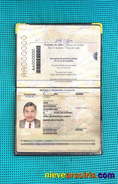Brazil passport version 2 (2019-present) photolook